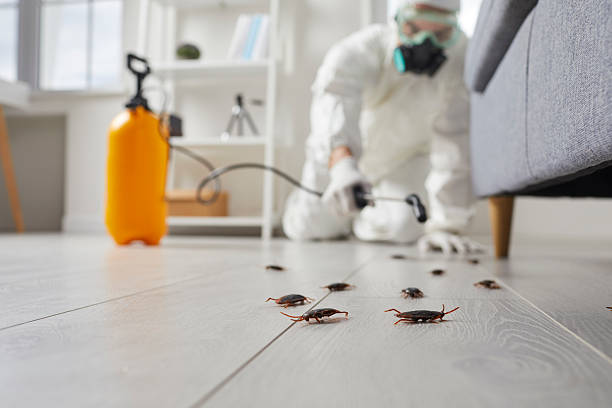 Commercial Kitchen Cockroach Control in Far Hills